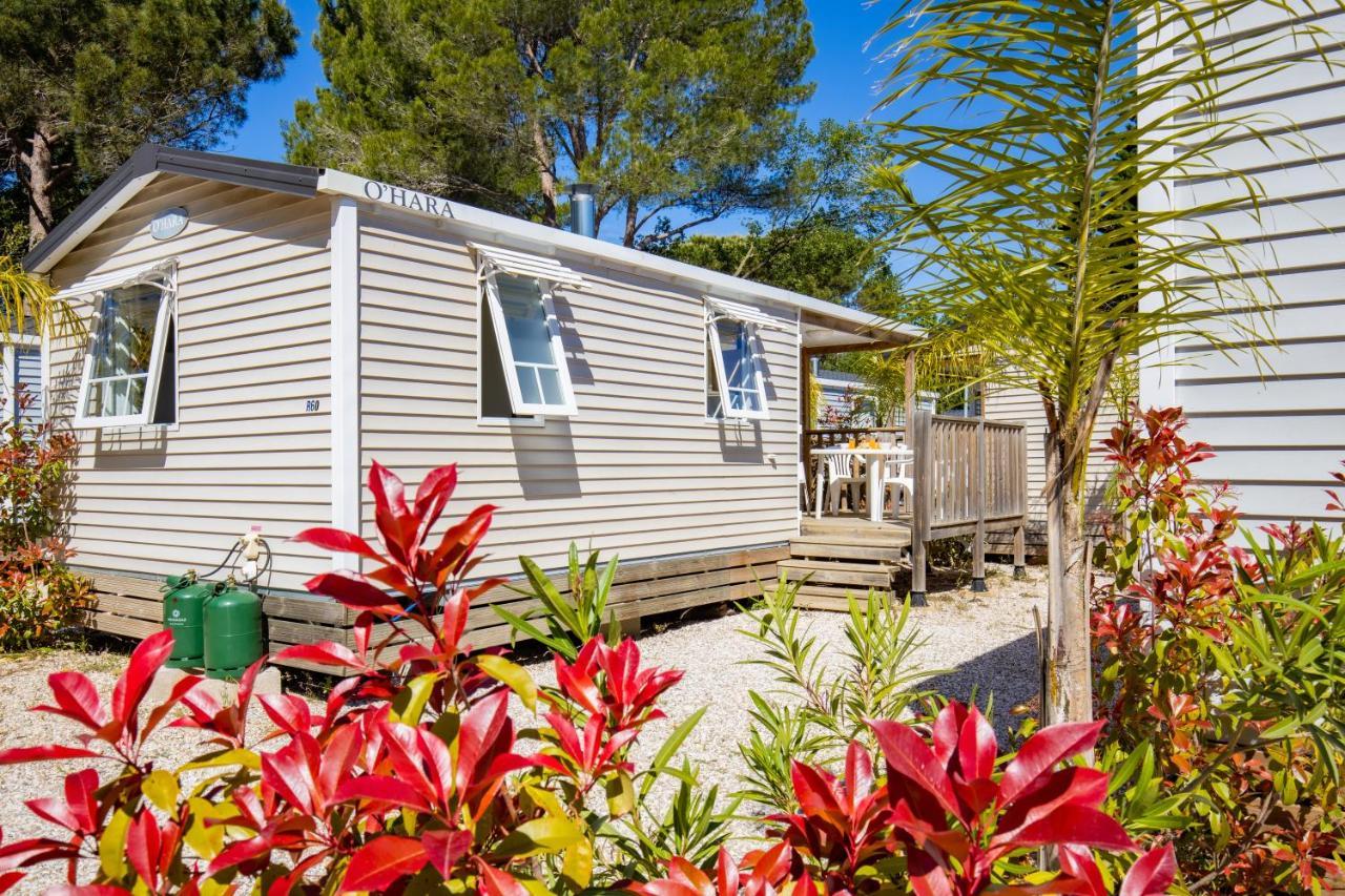 Camping Taxo Les Pins أرجيليه- سور- مير المظهر الخارجي الصورة