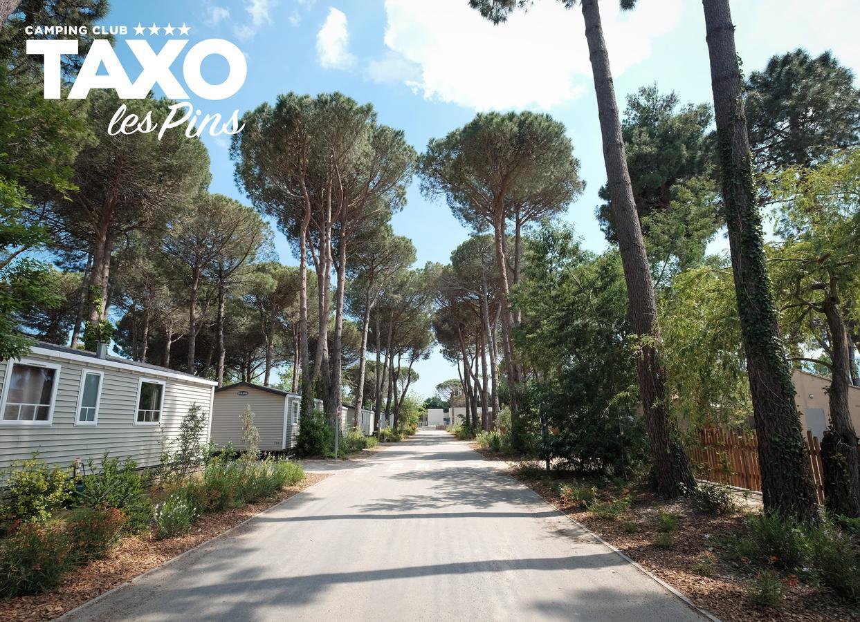 Camping Taxo Les Pins أرجيليه- سور- مير المظهر الخارجي الصورة