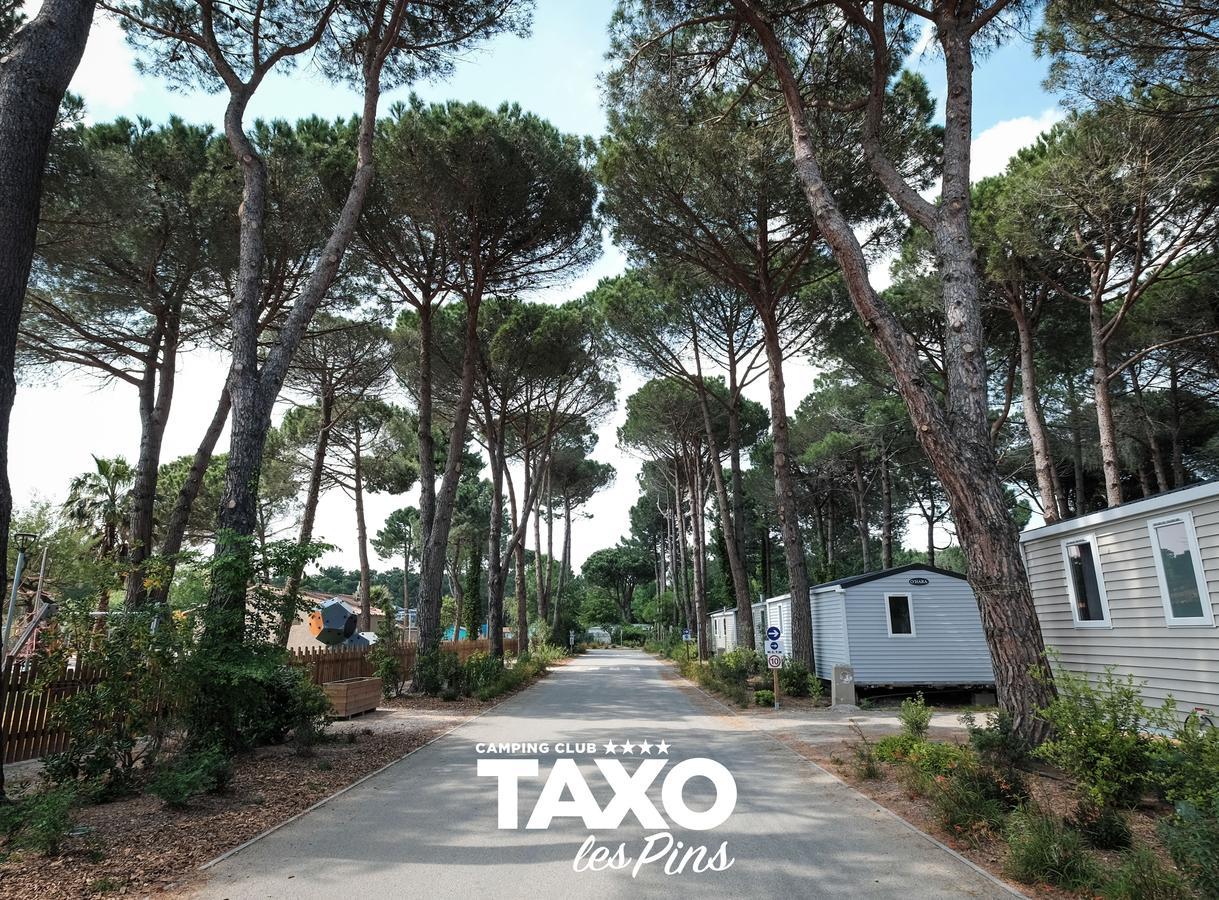 Camping Taxo Les Pins أرجيليه- سور- مير المظهر الخارجي الصورة