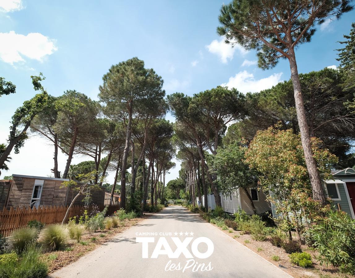 Camping Taxo Les Pins أرجيليه- سور- مير المظهر الخارجي الصورة