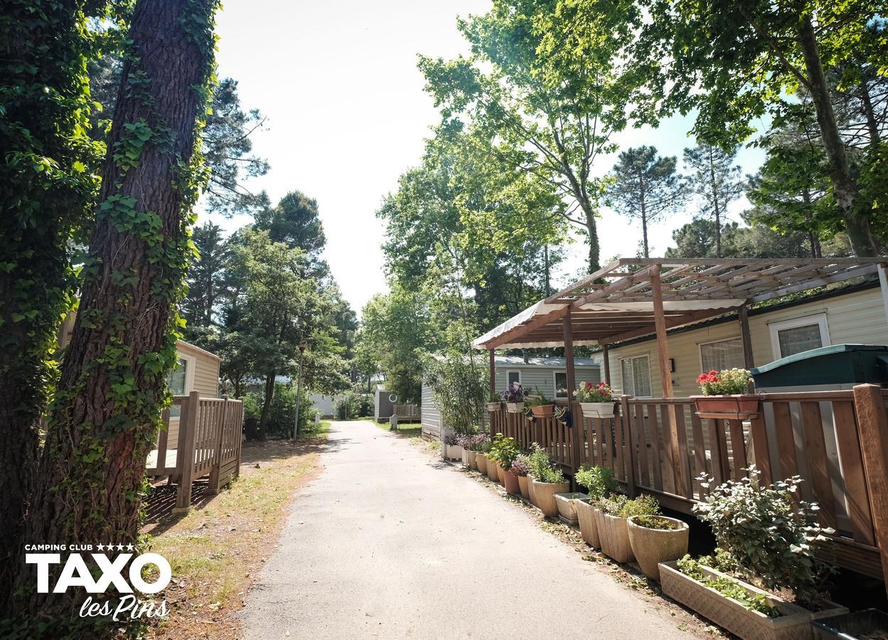 Camping Taxo Les Pins أرجيليه- سور- مير المظهر الخارجي الصورة