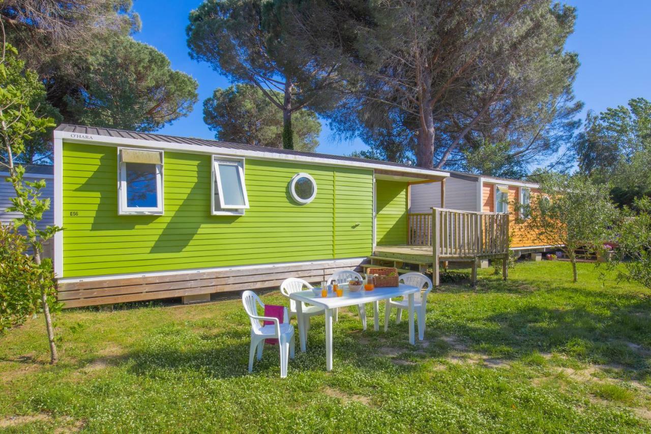 Camping Taxo Les Pins أرجيليه- سور- مير المظهر الخارجي الصورة