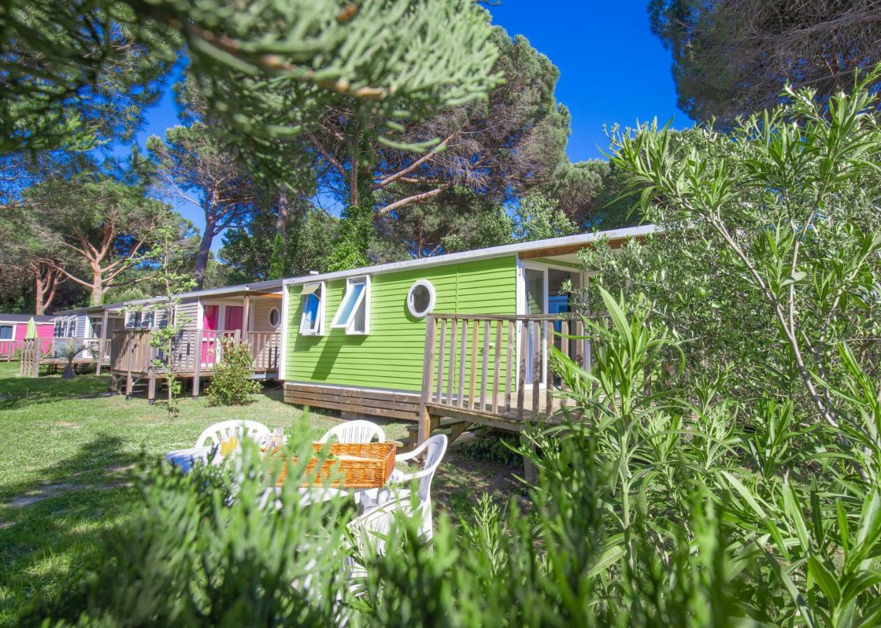Camping Taxo Les Pins أرجيليه- سور- مير المظهر الخارجي الصورة